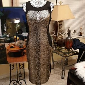 Charlotte russe golden snake print dress